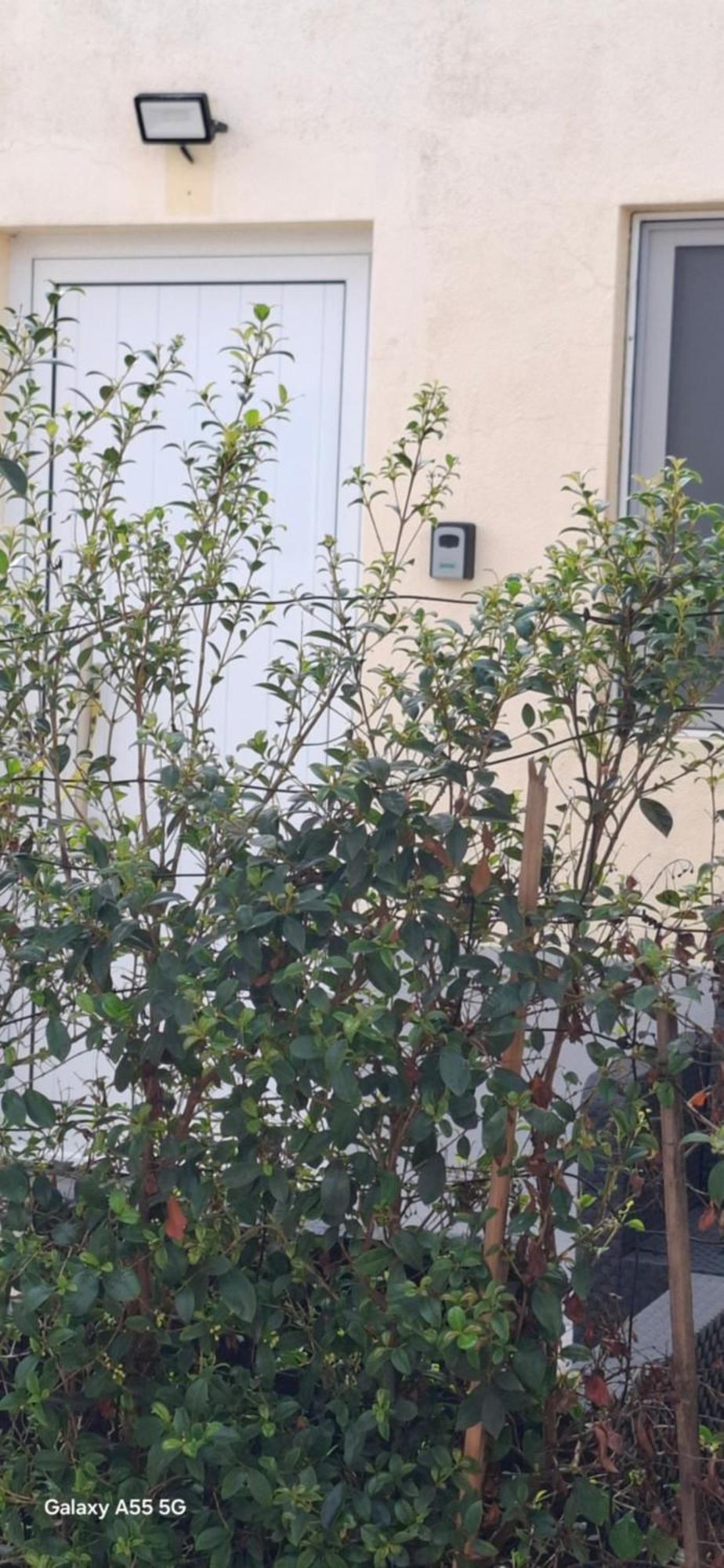 Pineapple Studio Πόντα Ντελγκάντα Εξωτερικό φωτογραφία