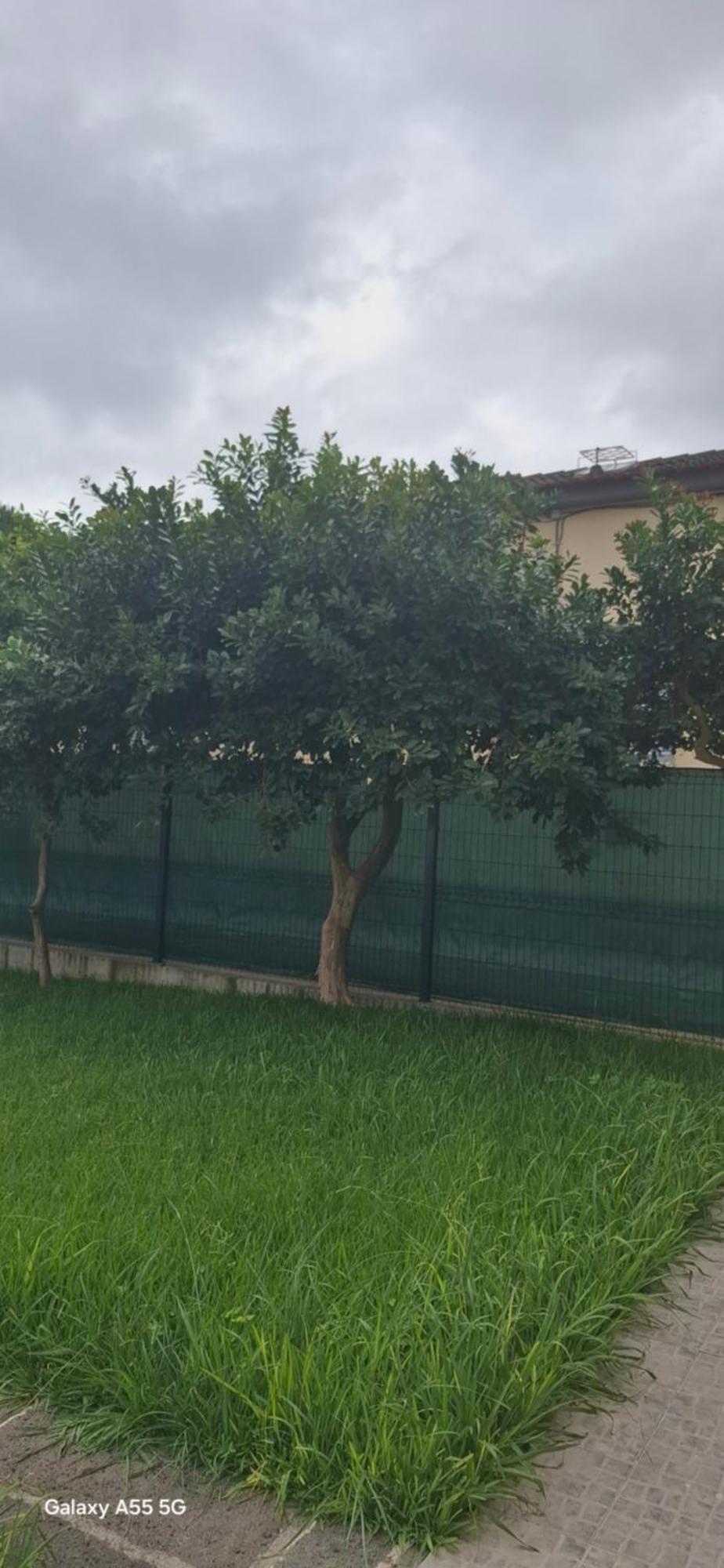 Pineapple Studio Πόντα Ντελγκάντα Εξωτερικό φωτογραφία